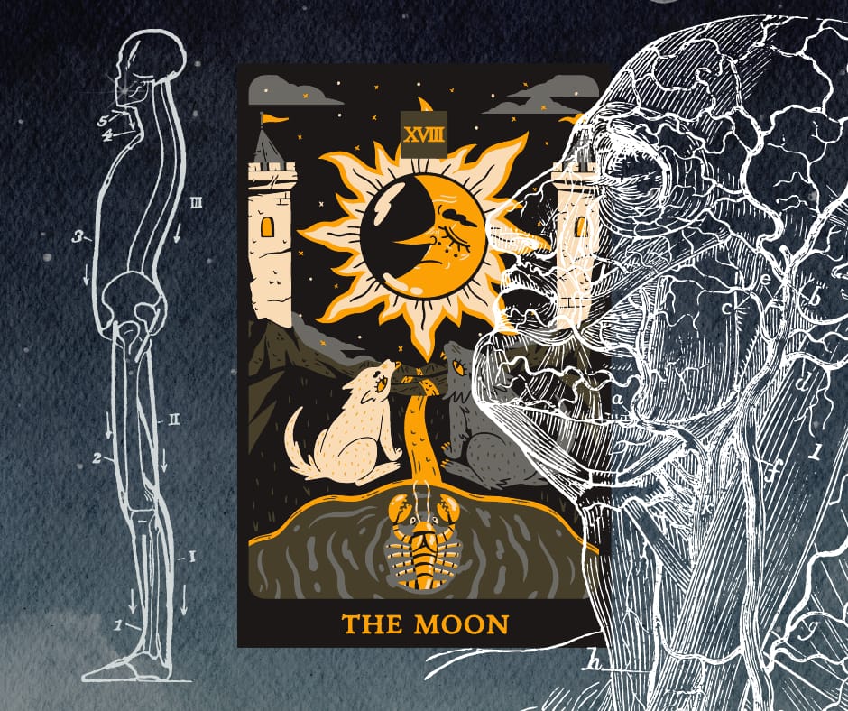 The human figure transposed over a tarot card called The Moon.